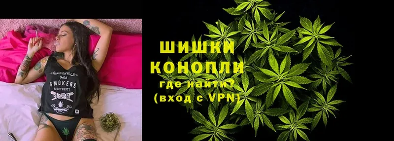 Конопля Amnesia  где купить наркоту  Вичуга 